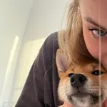 Аватар канала ялникс