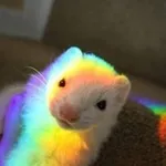 Аватар канала [anywhere] Department of Ferrets, Memetics, Cognitohazards and чіназес