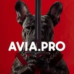Аватар канала Avia.pro