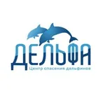 Аватар канала Delfacenter