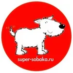 Аватар канала Суперсобака