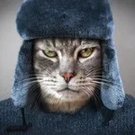 Аватар канала Кошкин Сибиряк