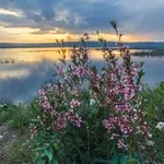Аватар канала Исторические экскурсии. Самарский край