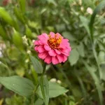 Аватар канала الـحـ 🌸 ـلـقـة 📖 الـقـ 💗 ـرآنيـة 🌿