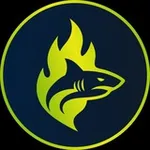 Аватар канала RaidSharks Trending