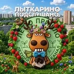 Аватар канала Лыткарино подслушано