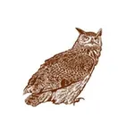 Аватар канала СОВИНЫЕ ИСТОРИИ 🦉 Просто будь совой!