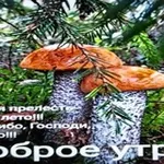 Аватар канала talking drum's special set