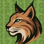 Аватар канала ЧР по интеллектуальным играм