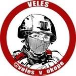 Аватар канала VELES тихонько пишет