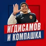 Аватар канала ИГДИСАМОВ И КОМПАШКА
