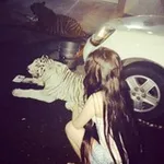 Аватар канала miu 🐈‍⬛