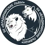 Аватар канала БК «ВЛАДИМИРСКИЕ ЛЬВИЦЫ»