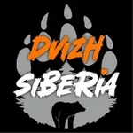 Аватар канала Dvizh Siberia