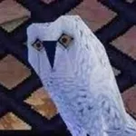 Аватар канала В гостях у Дорин 🦉