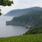 Аватар канала СОВГАВАНЬ.РФ