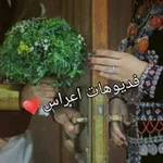 Аватар канала شموخ يمانيه للفيديوهات ♡