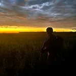 Аватар канала Рудий ліс