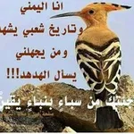 Аватар канала صباحيات