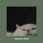 Аватар канала 𝑺𝒐 𝒘𝒉𝒂𝒕°¿