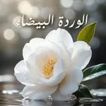 Аватар канала الورډة 𓂆 البيـضـاء 🤍