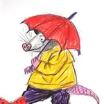 Аватар канала Rotten Kepken, синоптик