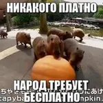 Аватар канала Бесплатные мемы 🧀