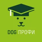 Аватар канала DOG-ПРОФИ