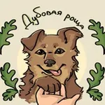 Аватар канала Приют Для Собак "Дубовая Роща"