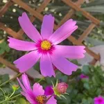 Аватар канала قبسات من نور 🌸