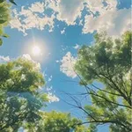 Аватар канала سمَـاء