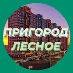 Аватар канала Пригород Лесное Новости