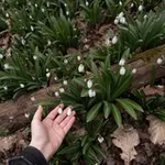 Аватар канала НЕжелезная леди