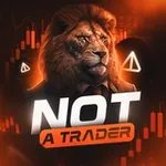 Аватар канала Not a trader ENG