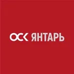 Аватар канала ОСК | Янтарь