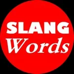 Аватар канала English Slang Words Terms