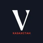 Аватар канала Village