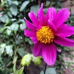 Аватар канала مۣۗـۙـــــــــــــلَآذ