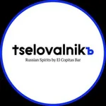 Аватар канала Целовальник | Tselovalnikъ