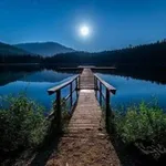 Аватар канала Amazing Natures 🌍