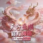 Аватар канала 天子盈顺 官方频道 @tzys