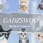 Аватар канала GADZSWOO — READ PINNED