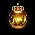 Аватар канала K9 Official Channel