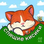 Аватар канала спящие кисики