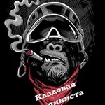 Аватар канала 🪢 Кладовая Альпиниста 🪢