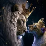 Аватар канала نصفي الثانـllـي١⁹ 🦋 .