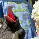 Аватар канала ✙Кіслотня Сотня✙