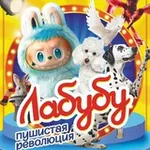Аватар канала Цирк Бруно