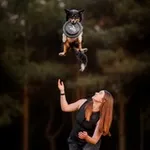 Аватар канала Фризби с Ариной