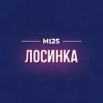Аватар канала Лосиноостровский район М125
